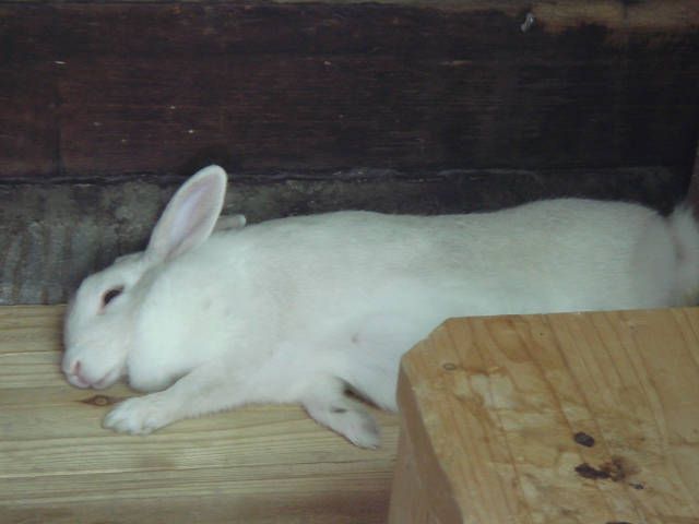 ねむ～い。。