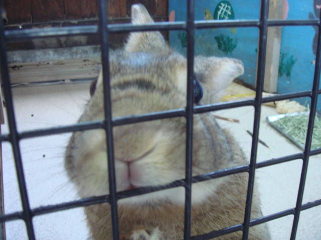 鼻の頭にご注目！