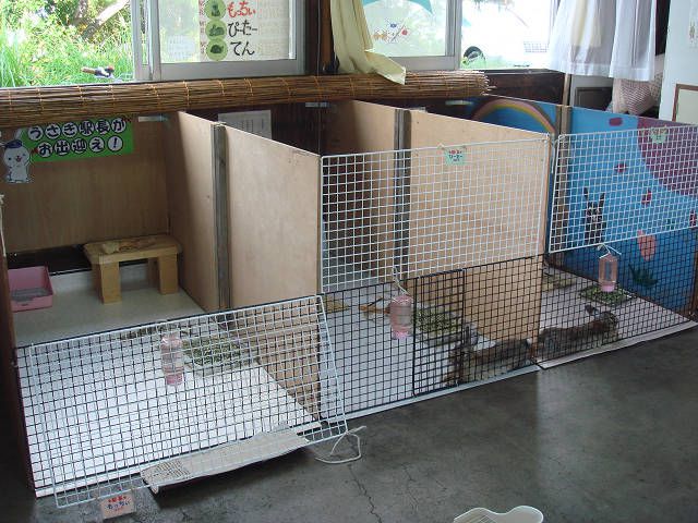 マイ　ホーム。
