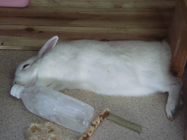 にぎやかでした～