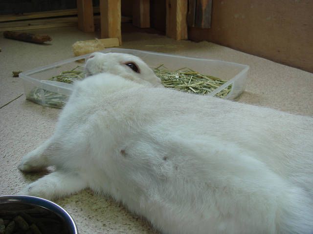 秋晴れです！