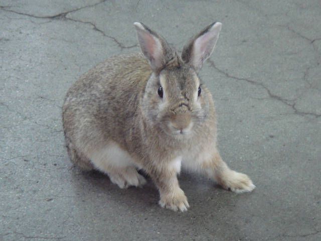 さ、さむい。。。