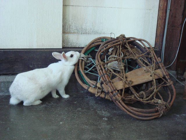 これ、知ってだがな？？