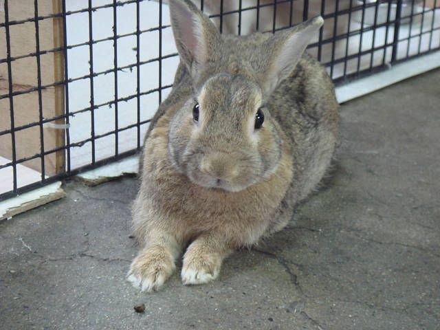 明日はいよいよ～♪