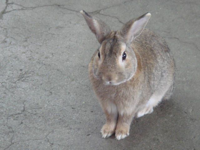 すこし緊張してます。