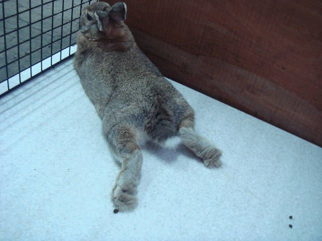 久々の。。。