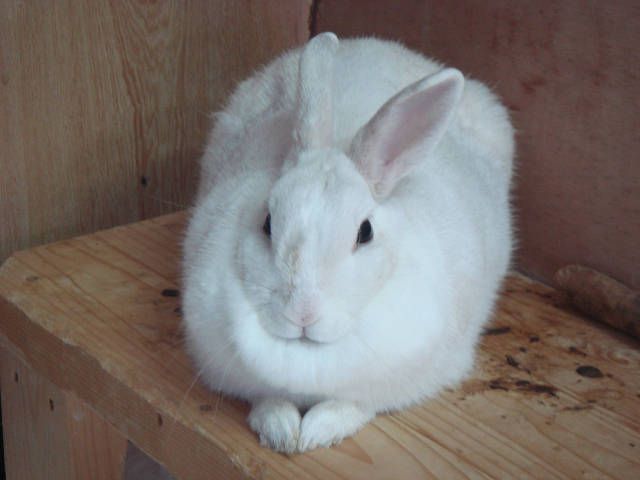今日から11月ですね。