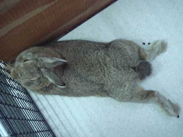 こんな格好で・・