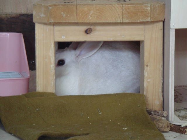 そんなに見ないで～！