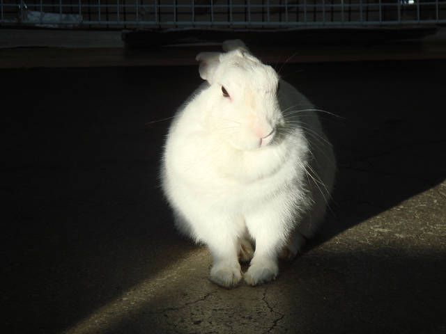 眩し～！！！！