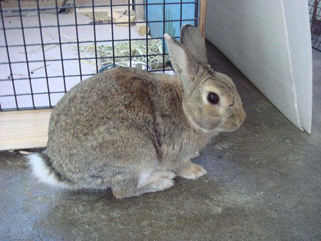 明日はお休み。