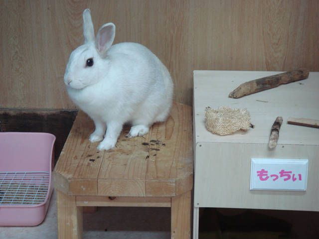 晴れ間がでたよ！