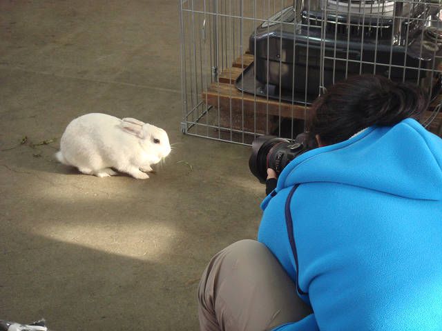 写真撮影がありました！