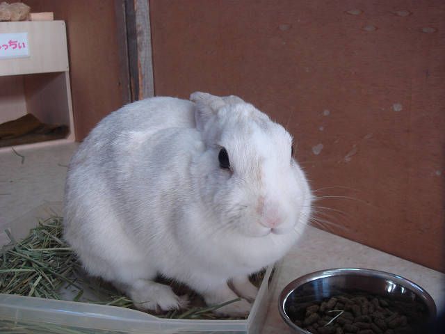 もっちぃサンタより☆
