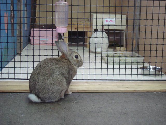 もっちぃ遊ぼう。
