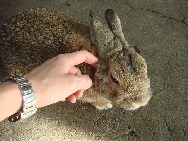 幸せ～！