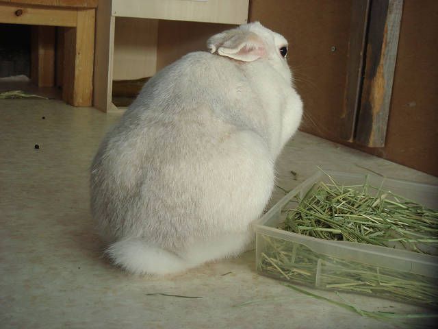 後ろ姿で。