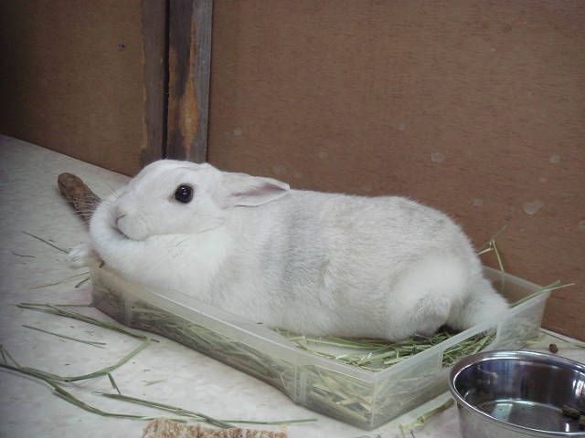 あけましておめでとうございます！