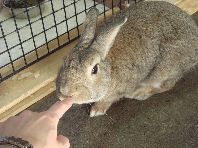 おはようございます！