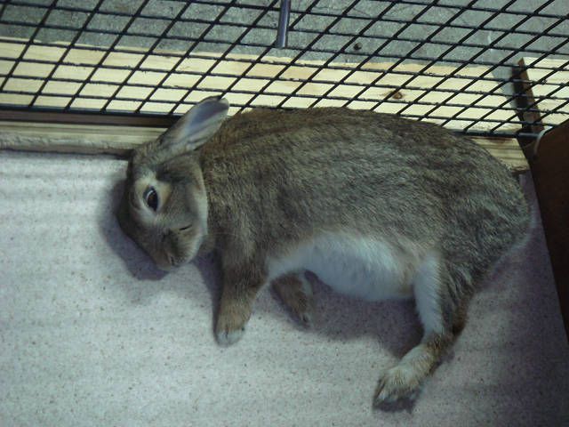ちょっと怖いけど。。