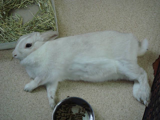 幸せだな～。