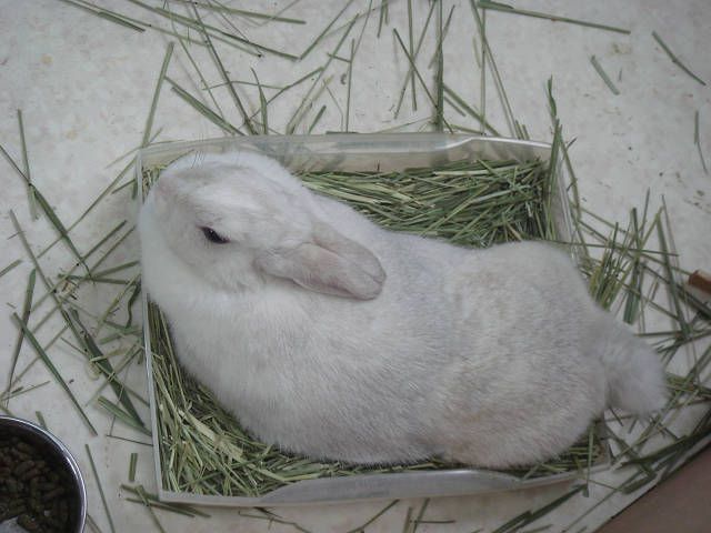 離れられません。