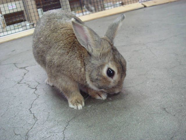 なんの匂いだべ～。