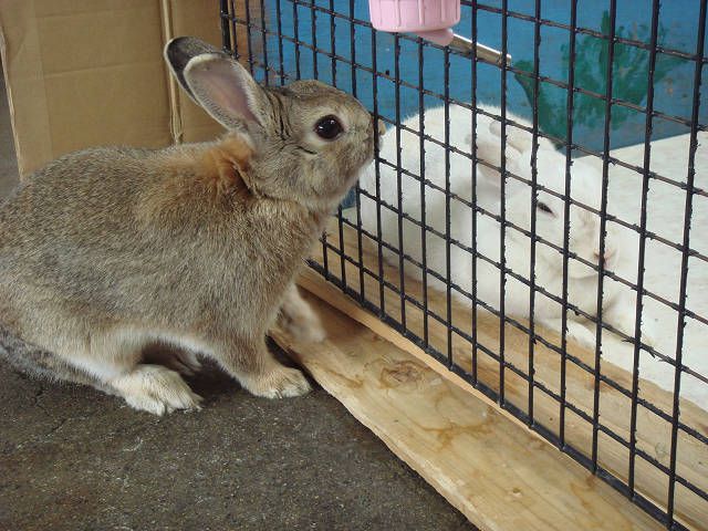 寒いごど～！！！