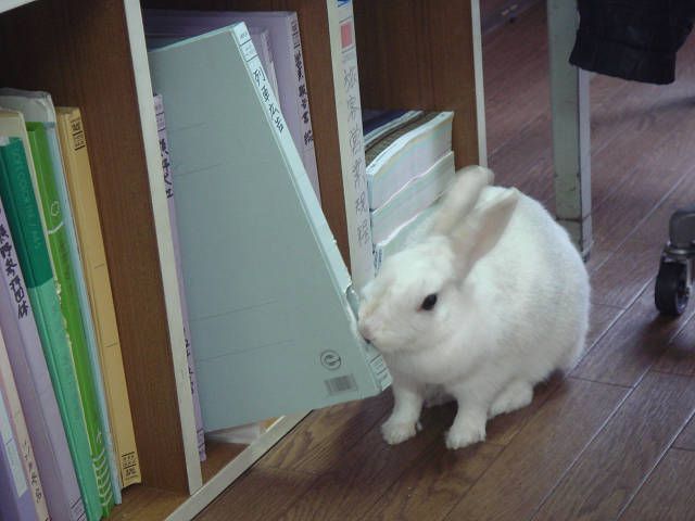 元気になりました！