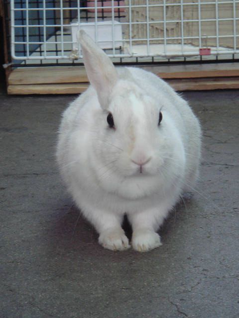 ご迷惑をおかけしております。