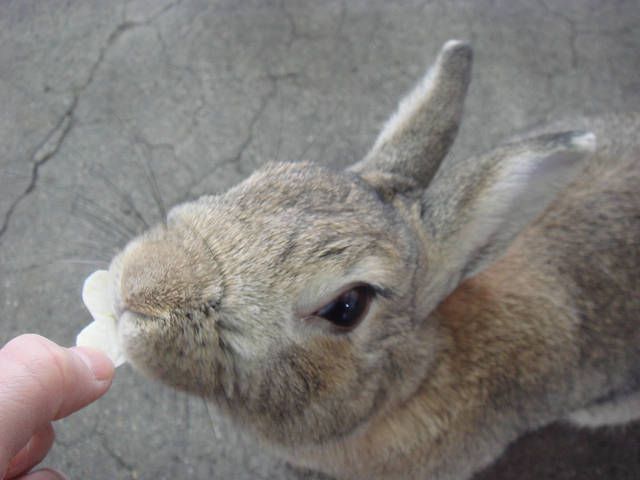happyバレンタイン！