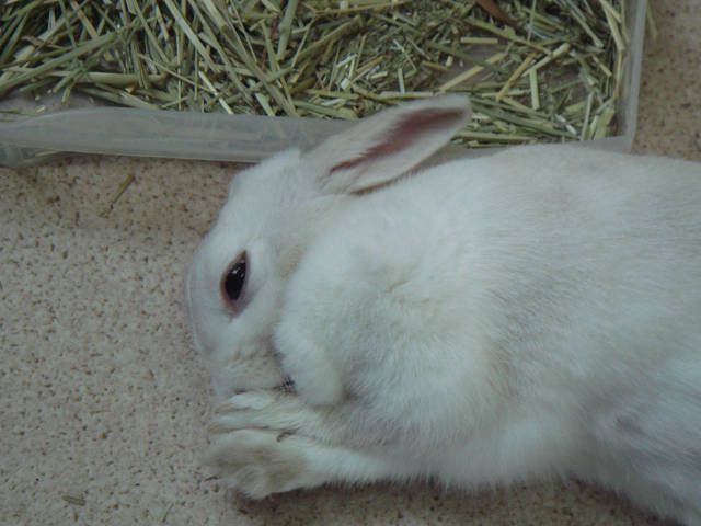 のんび～り。