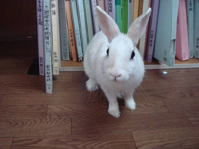 今日もお仕事！