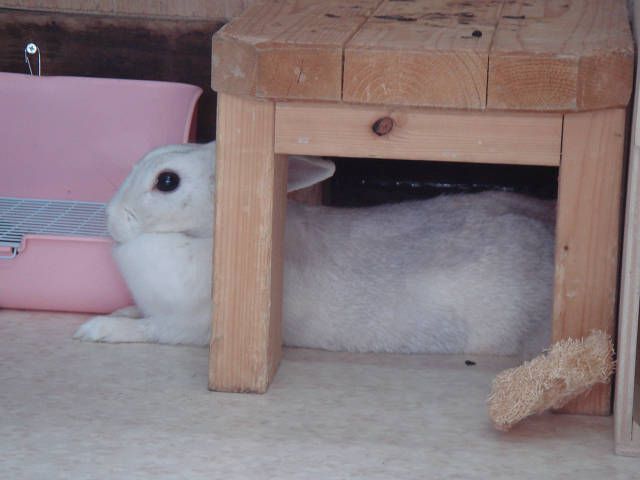 はみ出します。。
