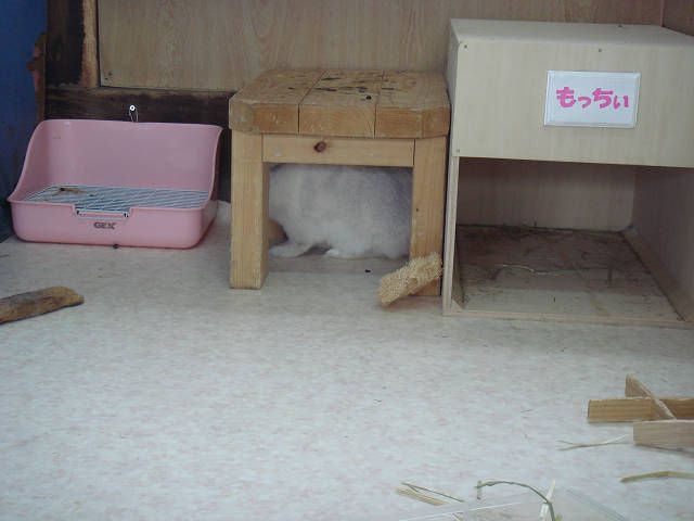 また大荒れです。
