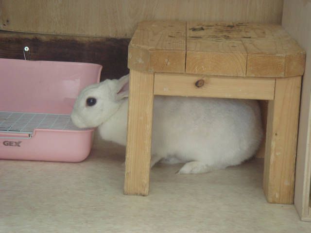 今度こそは！！
