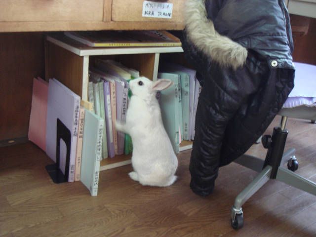 毎回同じ。