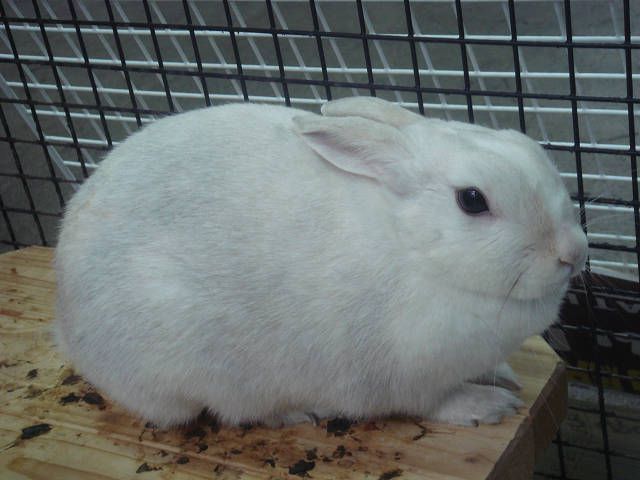 雪解けが進んだよ！！
