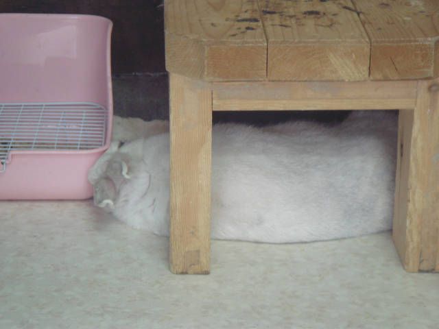 今日は荒れるんだべが？