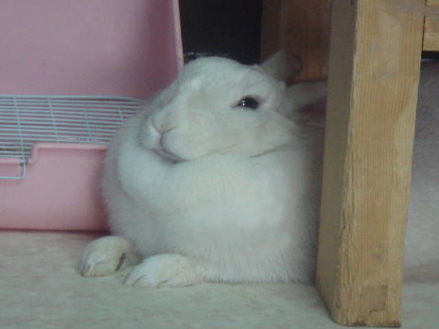 今日は風が強いなあ～