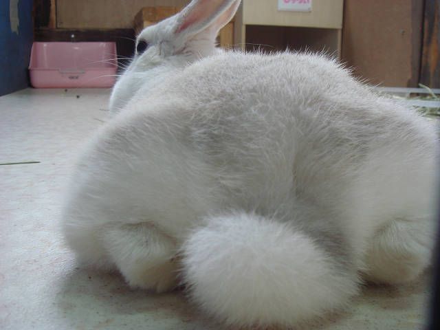 今日は後ろ姿。
