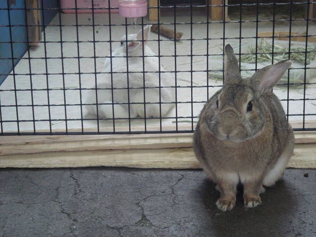 なしてこんなに寒いの～！！