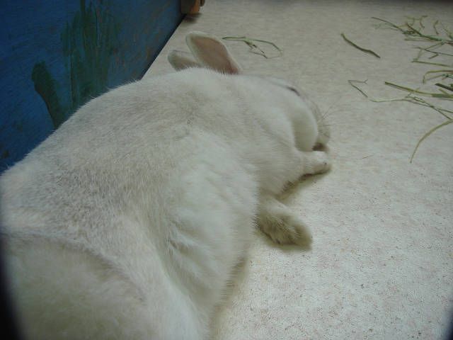 今日は連休最終日。