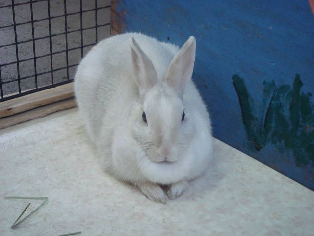 ありがとう。。