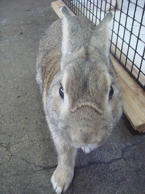 お久しぶりでした。