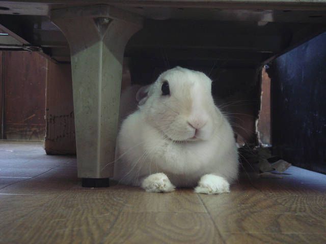 快適です！