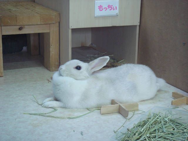 ♪上を向いて歩こう♪