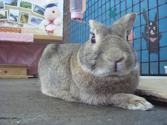 再度☆お知らせです☆