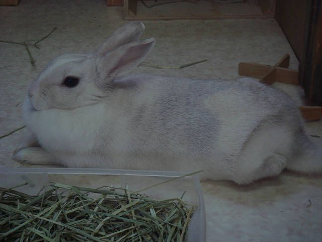 こんなに黒くなりました。