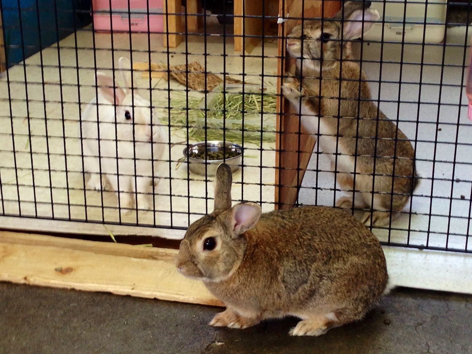 3歳になりました！